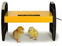Brinsea Eco-Glow Chick Brooder