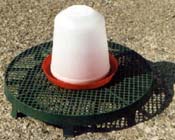 Drinker/Feeder Stand