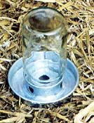 Galvanised Jam Jar Chick Drinker