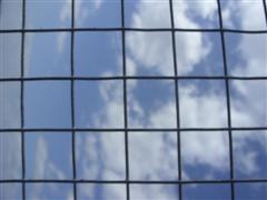 Wire Mesh 19 g - 6 metres x 90 cms